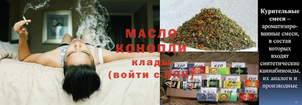 молекула духа Бородино