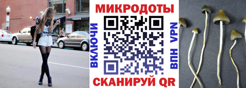 Купить закладки Мончегорск Псилоцибиновые грибы Psilocybe